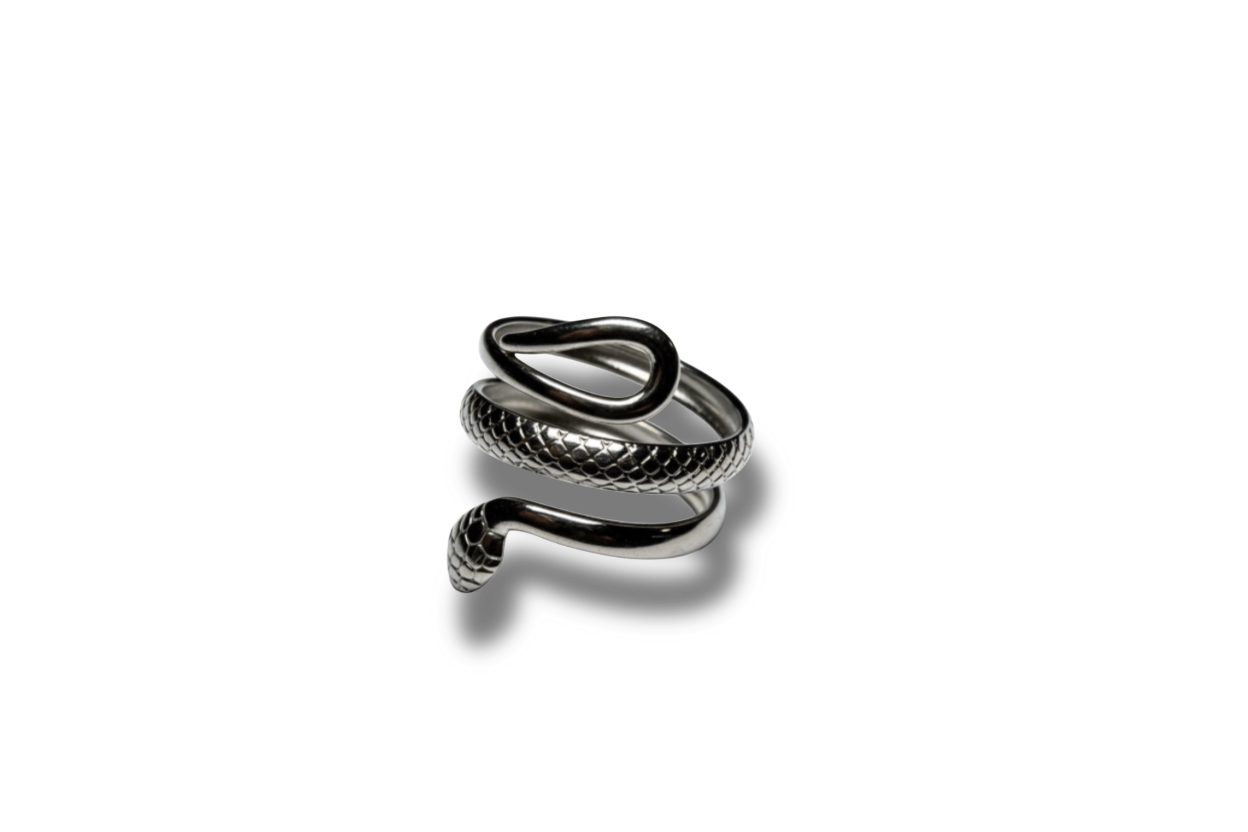 Silver ring "Snake"
